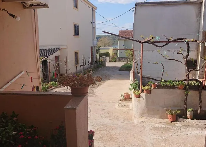 Klara * Поседарье